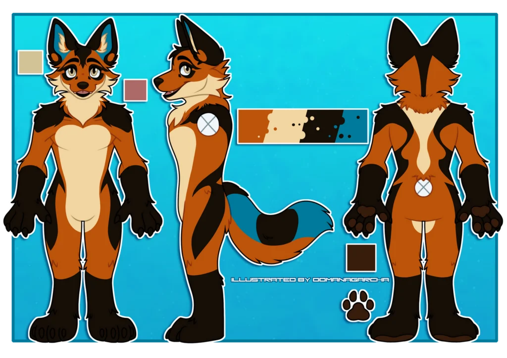 Reference sheet: orange and black canine in front, side and back views